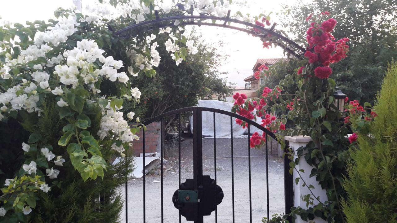 Villa Ebrar Dalyan Muğla Extérieur photo