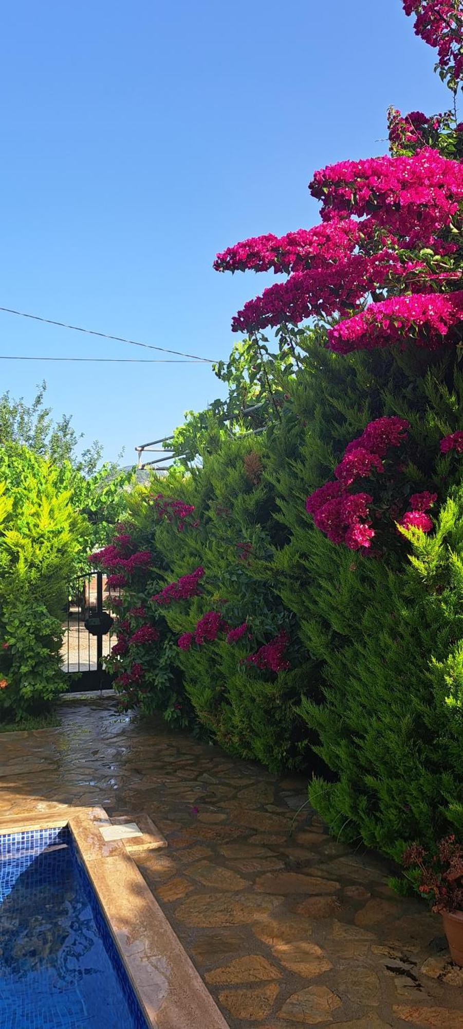 Villa Ebrar Dalyan Muğla Extérieur photo